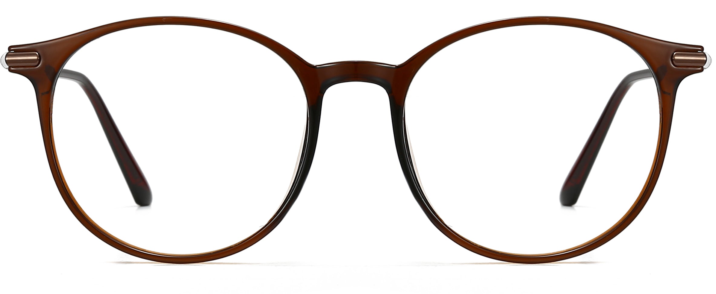 Alger brown Metal Eyeglasses from ANRRI