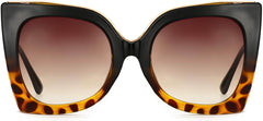 Cassia Tortoise Plastic Sunglasses from ANRRI, front view