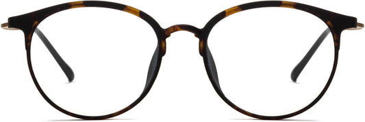 Tene Tortoise Metal  Eyeglasses from ANRRI, Front View