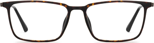 Squire Tortoise Metal Eyeglasses from ANRRI, Front View
