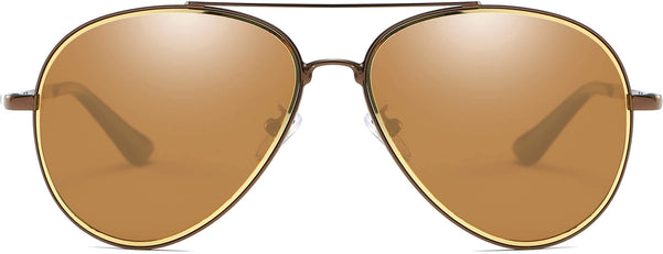 Airni Brown Stainless steel Sunglasses from ANRRI