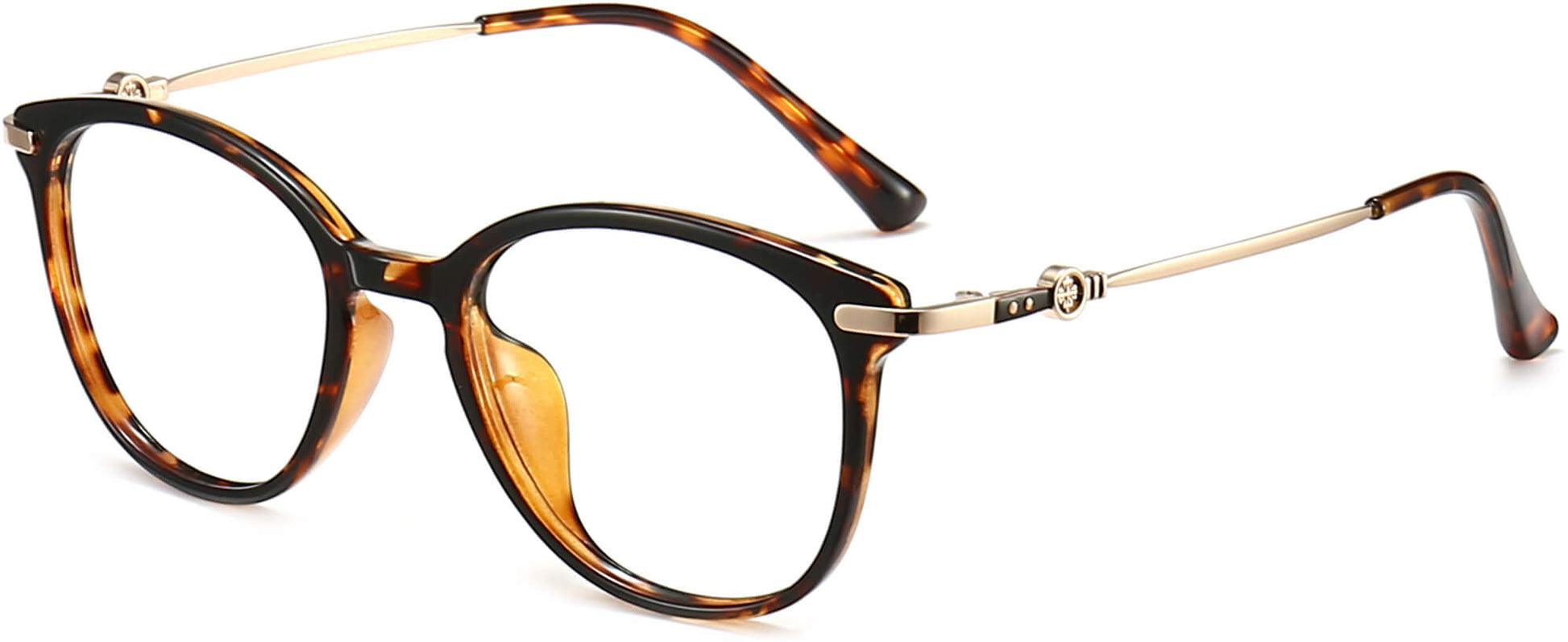 Allyson Round Tortoise Eyeglasses from ANRRI, angle view