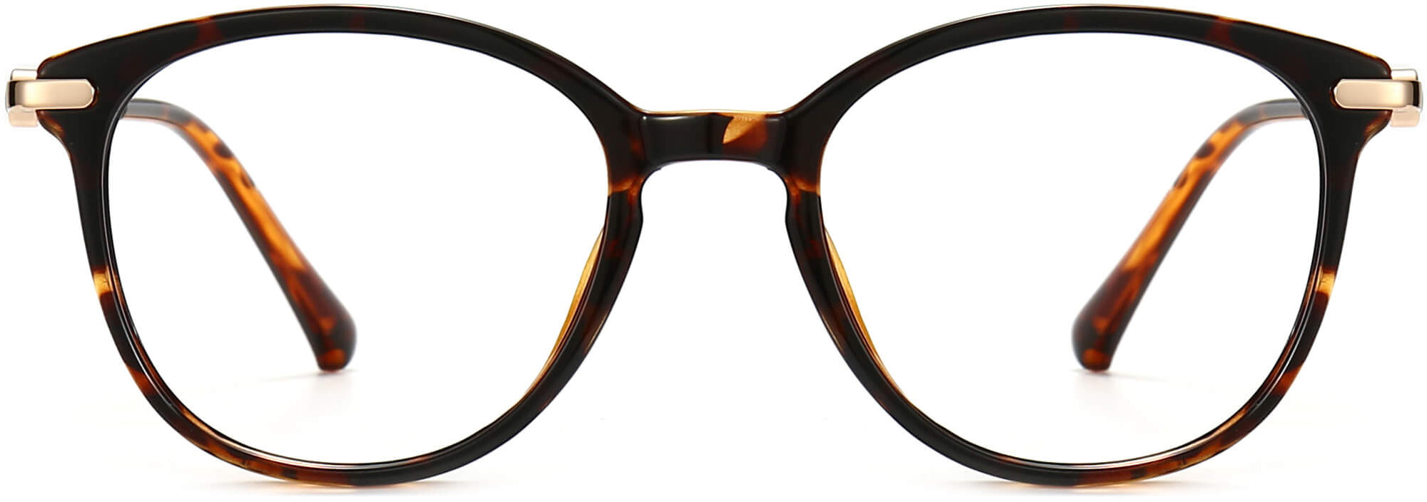 Allyson Round Tortoise Eyeglasses from ANRRI, front view