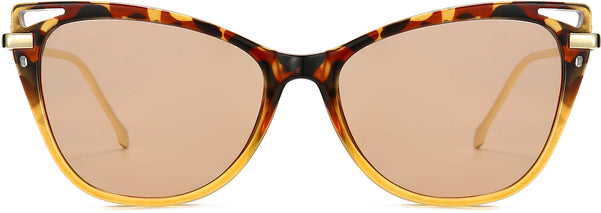 Anita Tortoise Plastic Sunglasses from ANRRI
