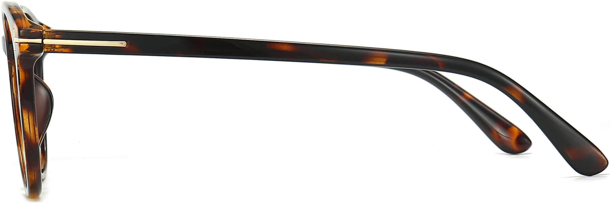 Arlo Round Tortoise Eyeglasses from ANRRI, side view