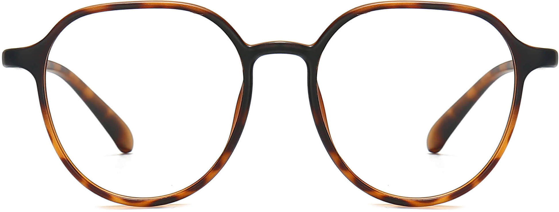 Augustus Round Tortoise Eyeglasses from ANRRI, front view
