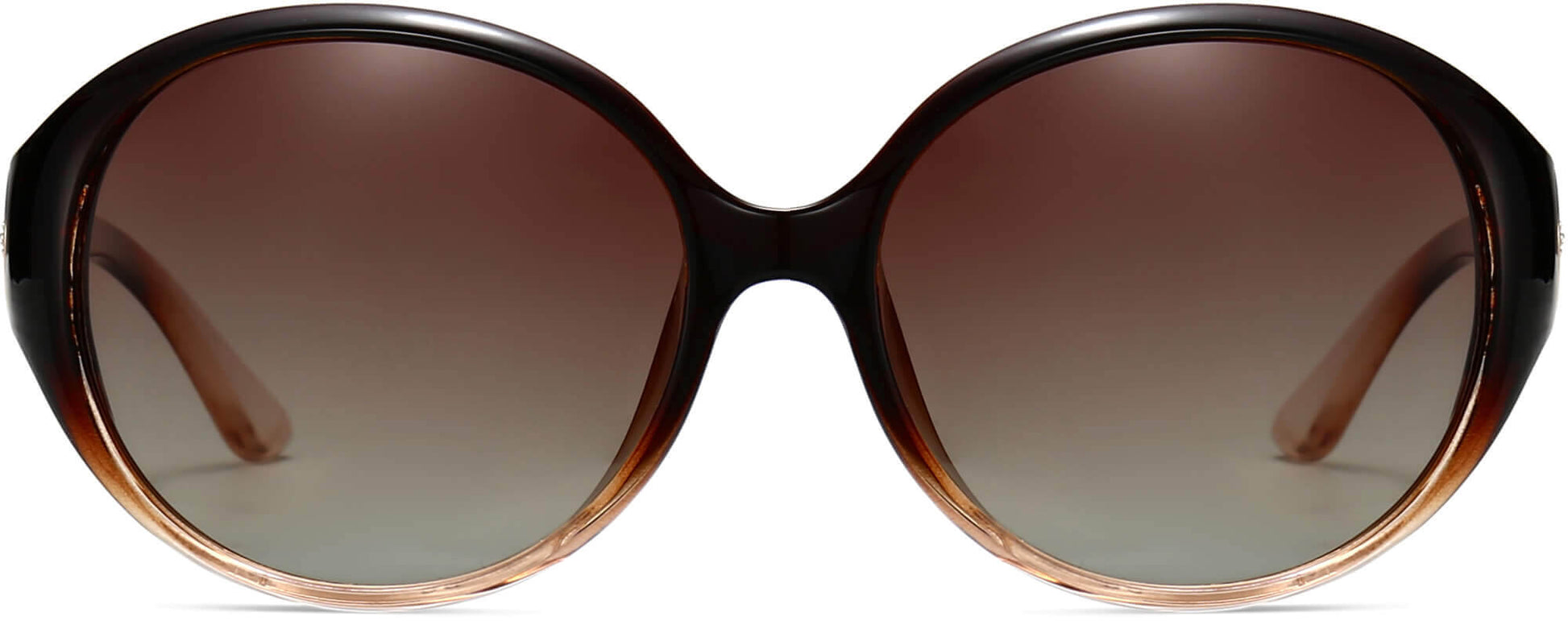 Brianna Brown Plastic Sunglasses from ANRRI, front view