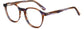 Bridget Round Tortoise Eyeglasses from ANRRI, angle view
