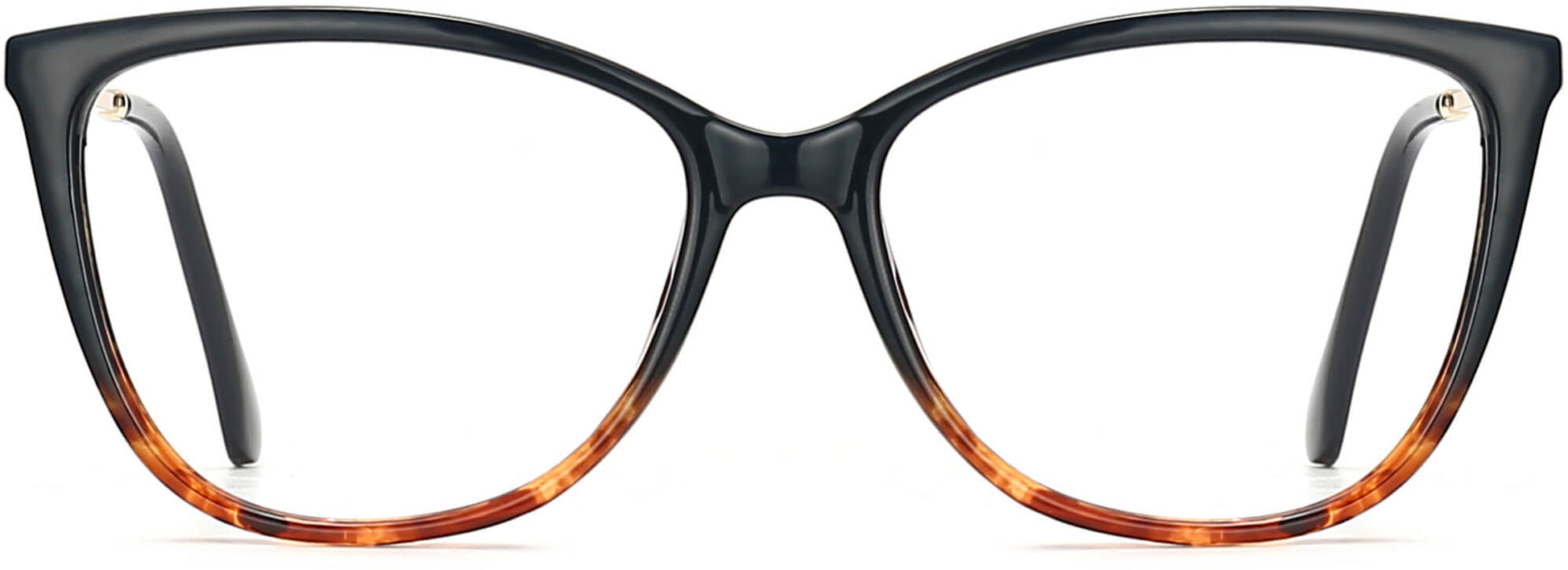 Brinley Cateye Black Tortoise Eyeglasses from ANRRI, front view