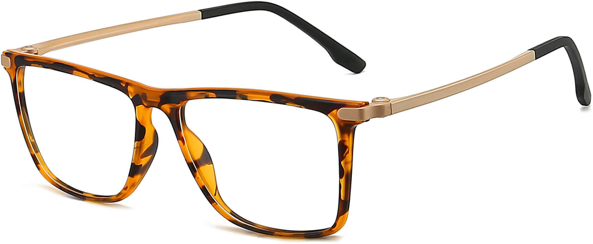 Brook Rectangle Tortoise Eyeglasses  from ANRRI, angle view
