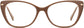 Celine Cateye Brown Eyeglasses from ANRRI, front view