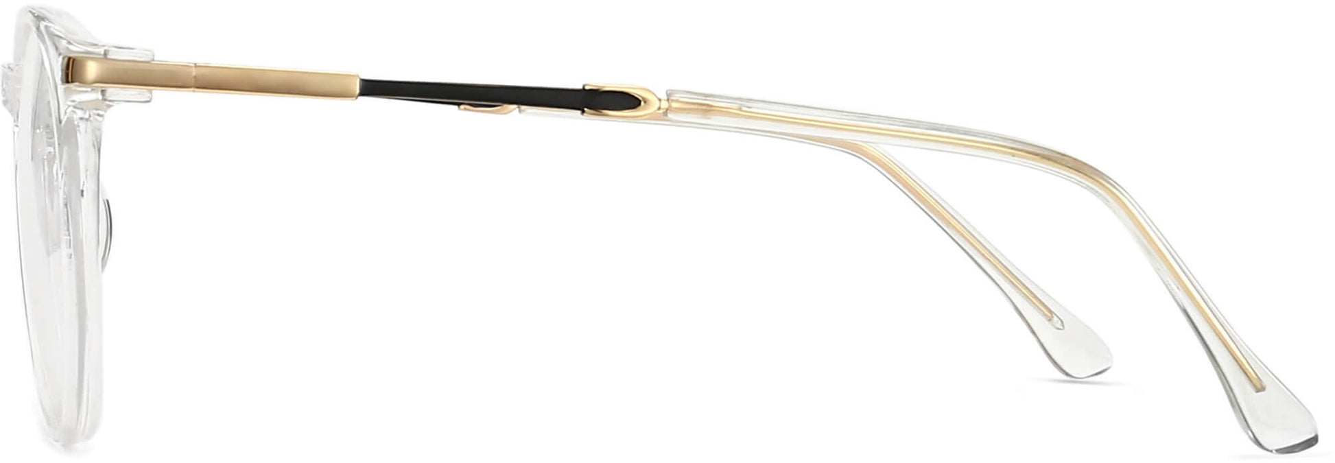 Clarte Round Clear Eyeglasses from ANRRI, side view
