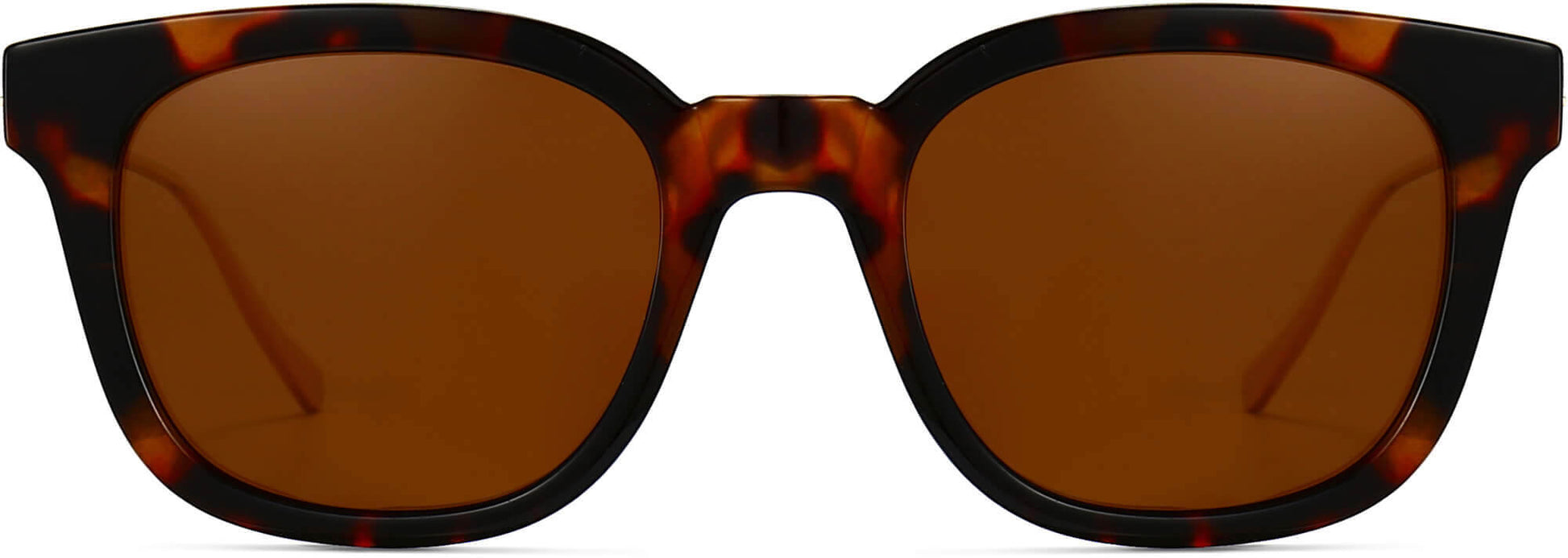 Cooper Tortoise Plastic Sunglasses from ANRRI, front view