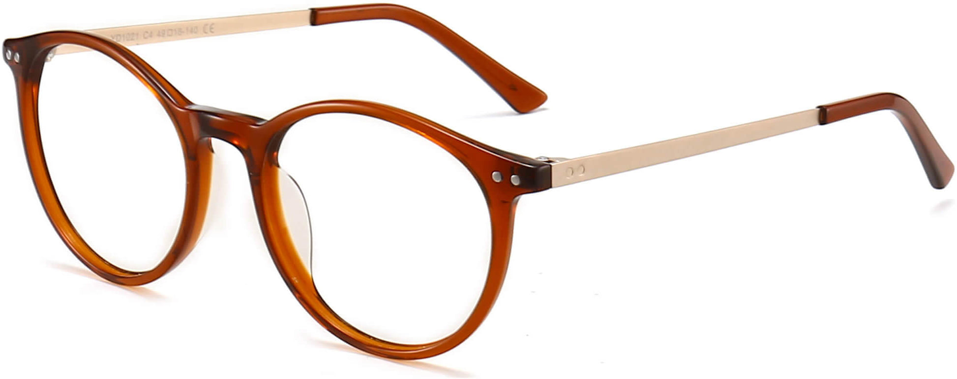 Dallas Round Brown Eyeglasses from ANRRI, angle view