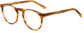 Dudley round tortoise Eyeglasses from ANRRI, angle view