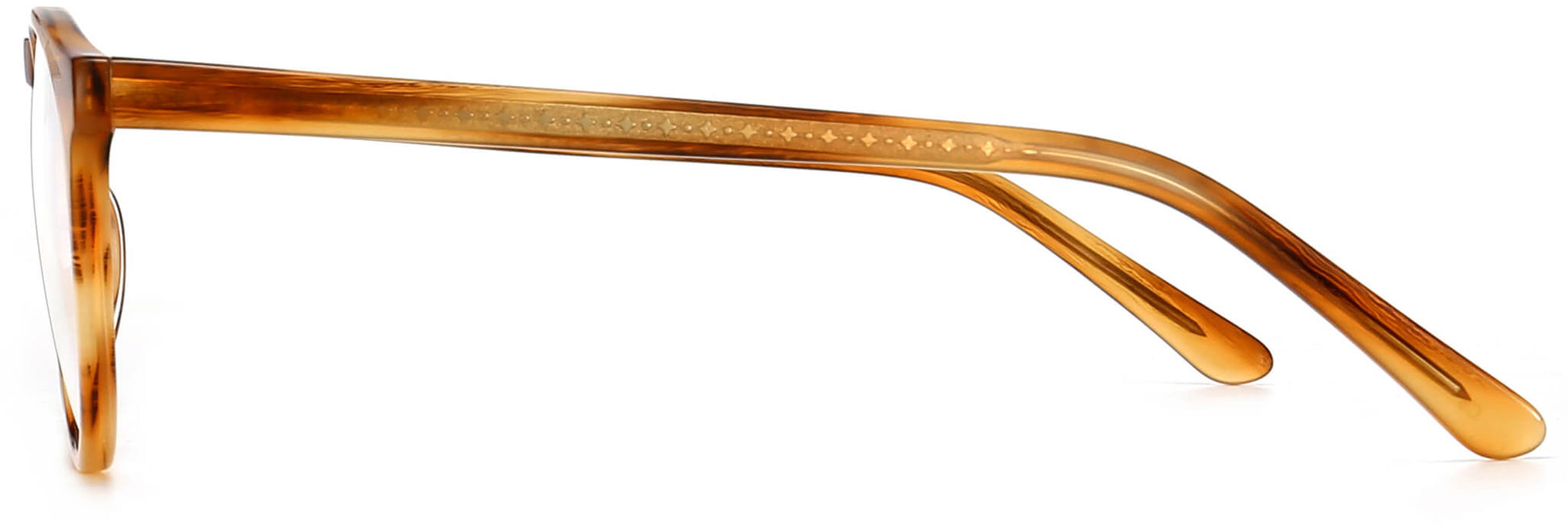 Dudley round tortoise Eyeglasses from ANRRI, side view