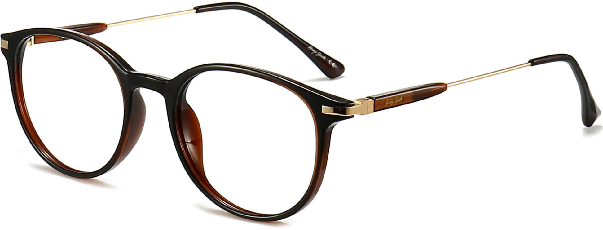 Edison Round Brown Eyeglasses from ANRRI, angle view