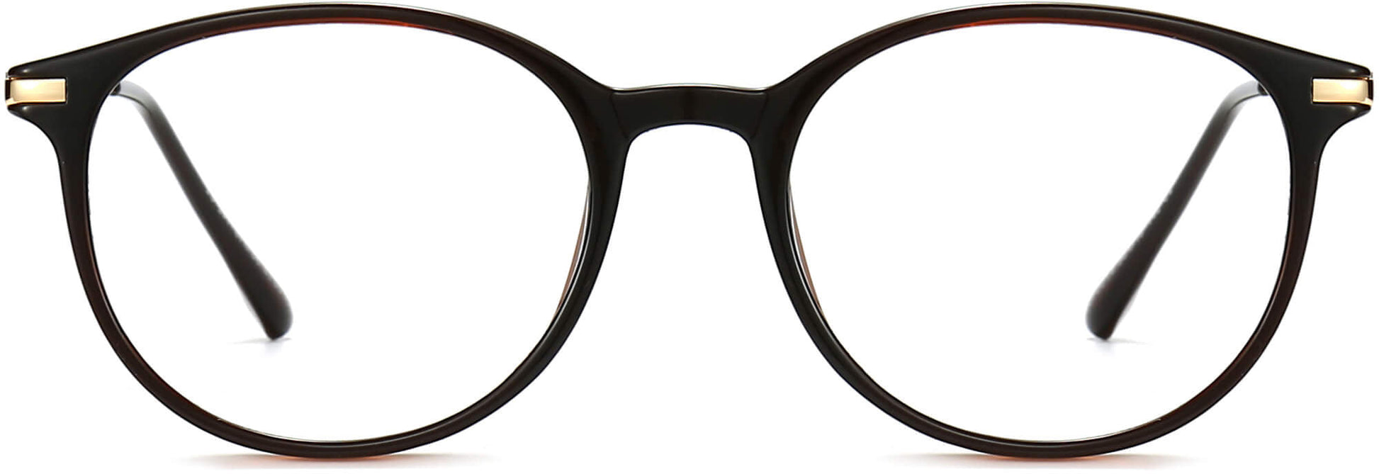Edison Round Brown Eyeglasses from ANRRI, front view
