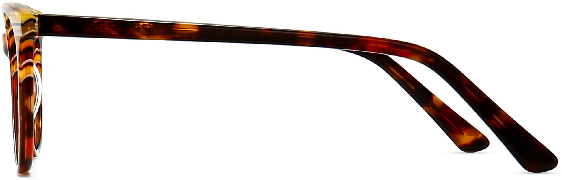 Eliza Cateye Tortoise Eyeglasses from ANRRI, side view