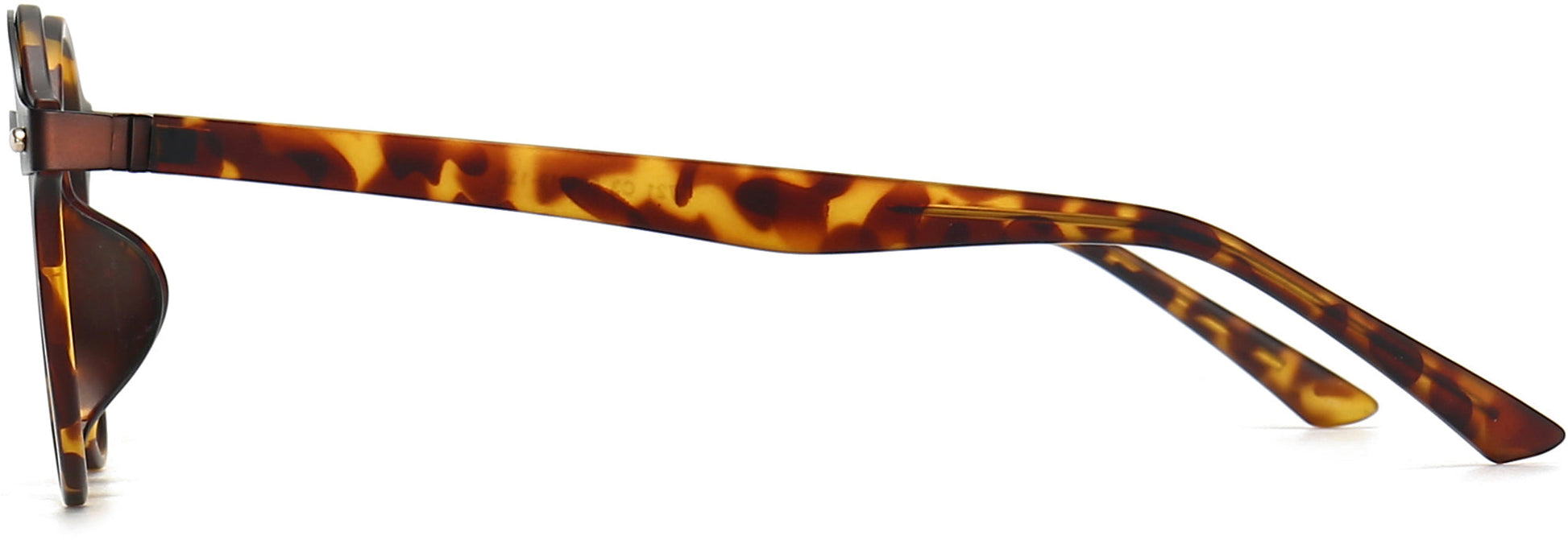 Ensley Round Tortoise Eyeglasses from ANRRI, side view
