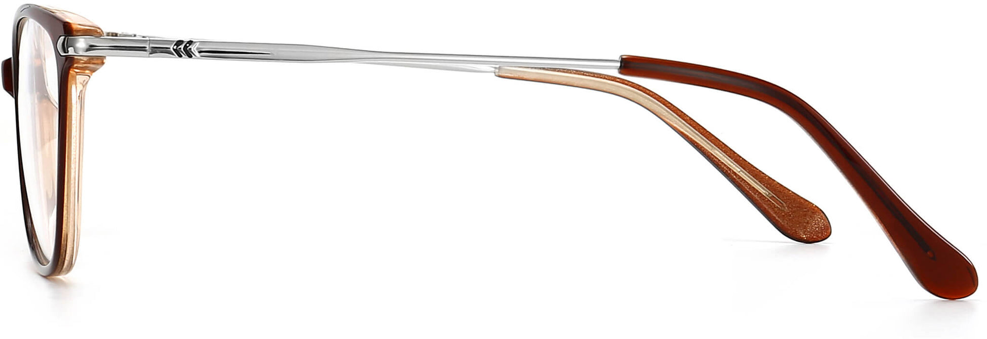 Enyon cateye brown Eyeglasses from ANRRI, side view