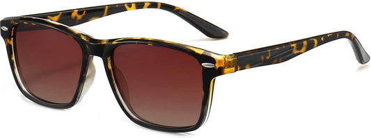 Faith Tortoise Plastic Sunglasses from ANRRI, angle view