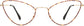 Gemma Cateye Tortoise Eyeglasses from ANRRI, front view