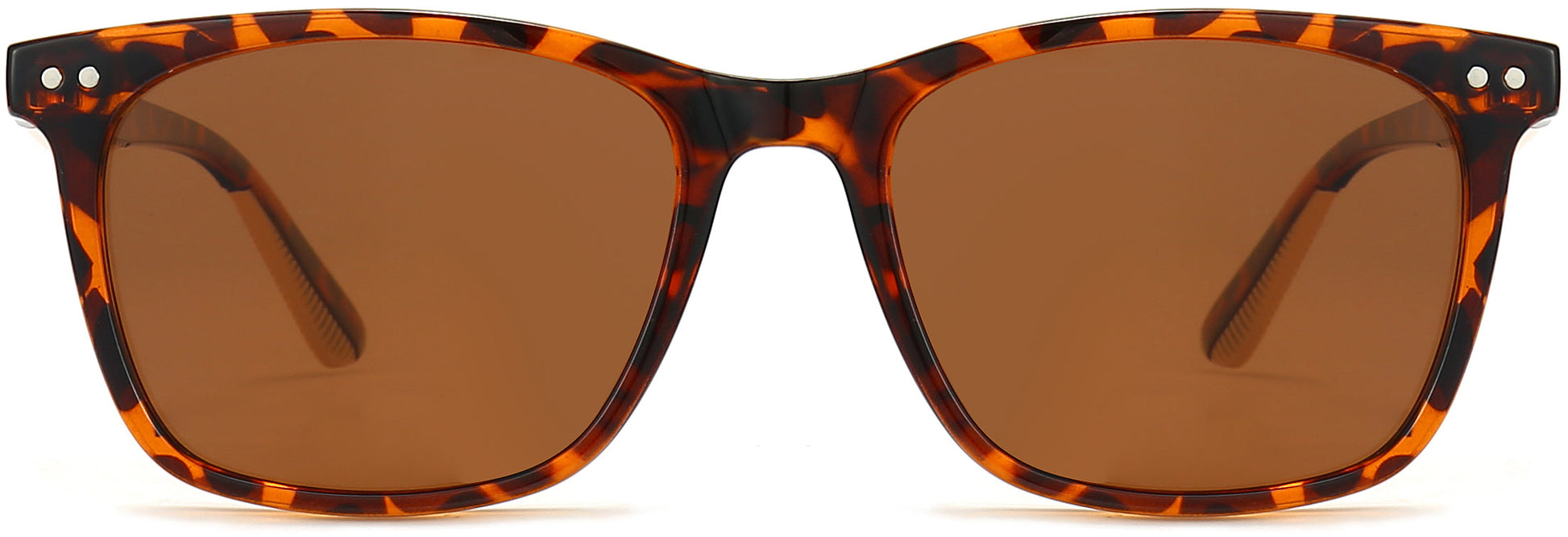 Glenn Tortoise Sunglasses from ANRRI