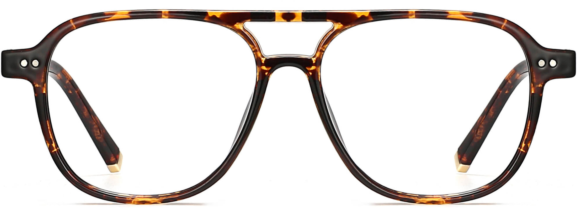 Haisley Square Tortoise Eyeglasses from ANRRI, front view