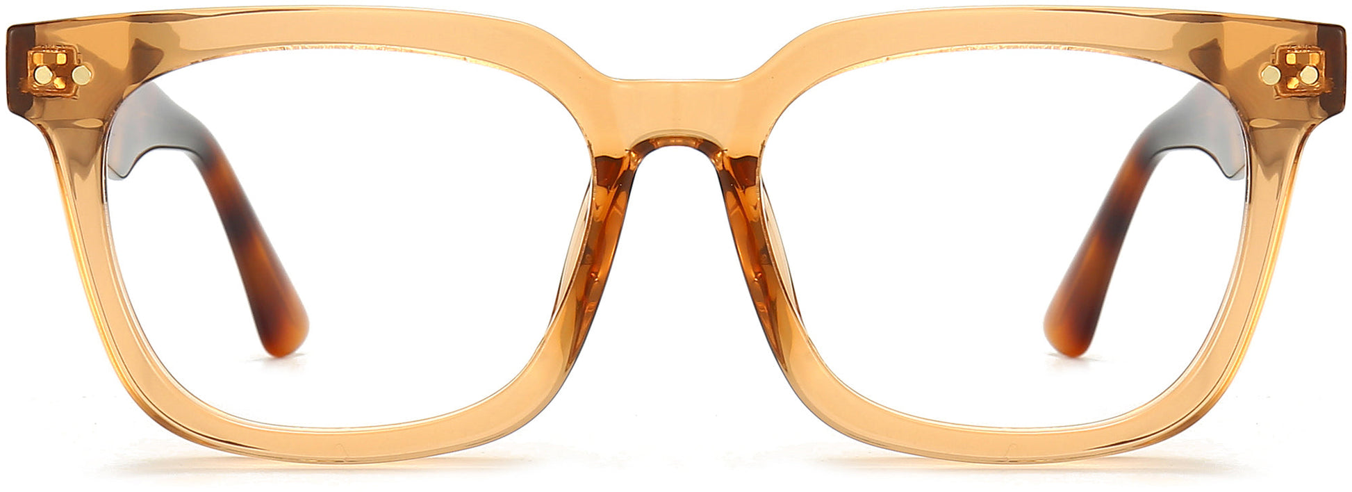 Ivanna Square Brown Eyeglasses from ANRRI, front view