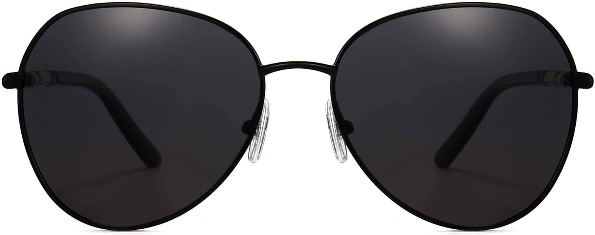 Joel Black Stainless steel Sunglasses from ANRRI, front view