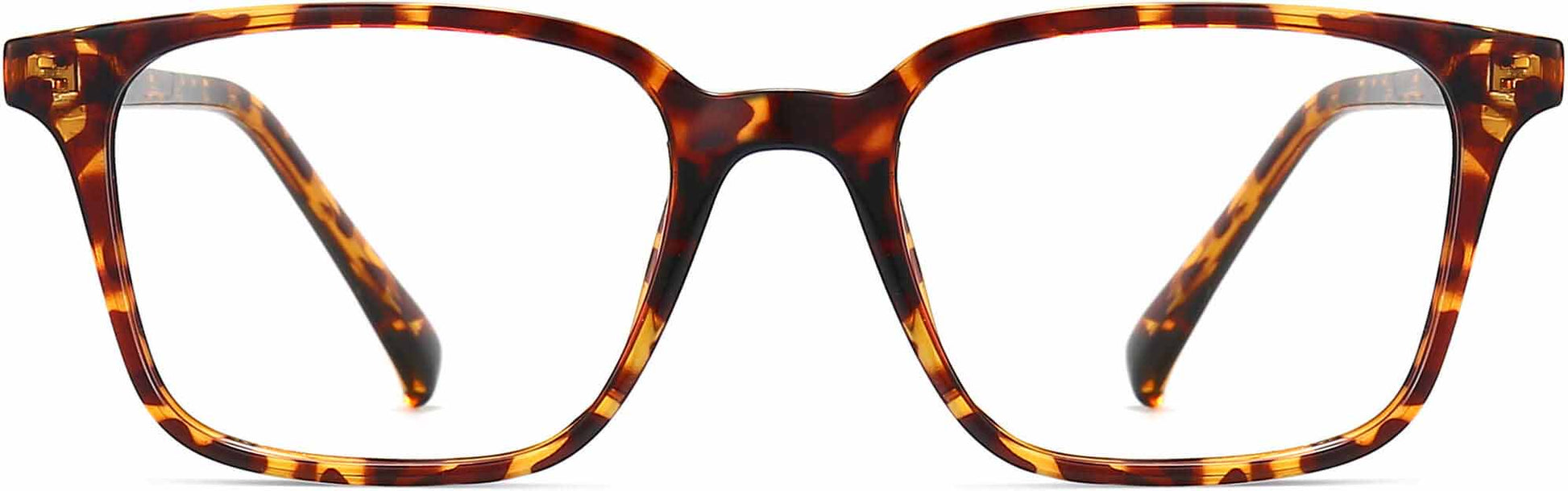 Judah Square Tortoise Eyeglasses from ANRRI, front view