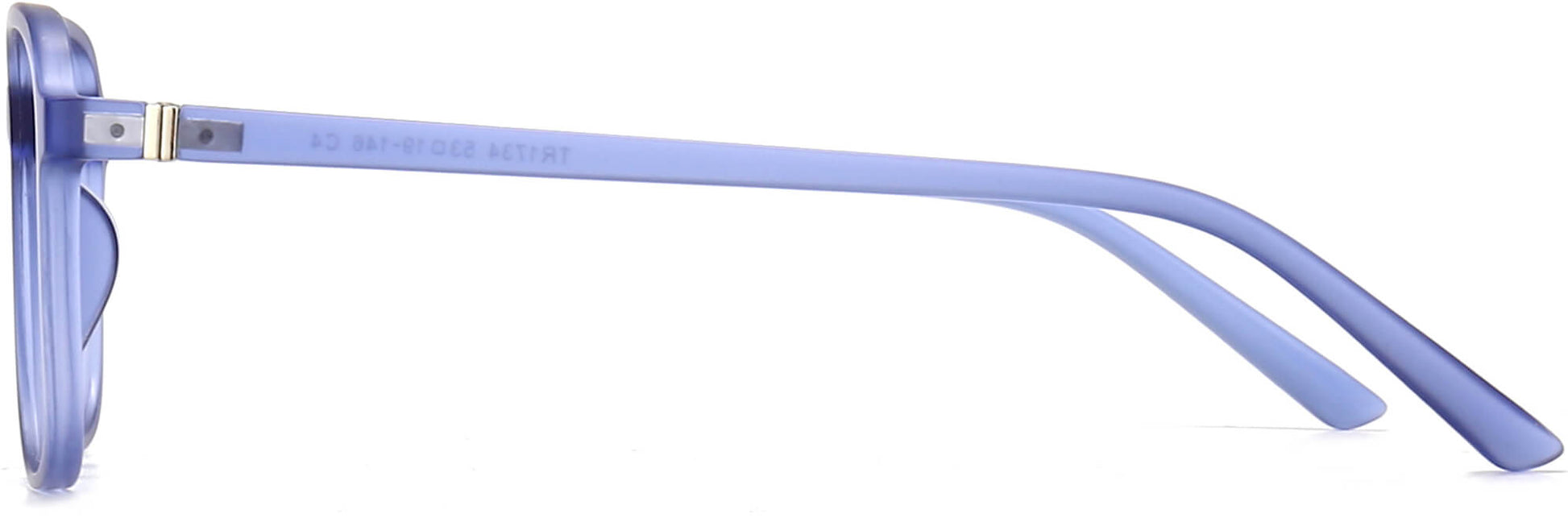 Kamryn Square Blue Eyeglasses from ANRRI, side view