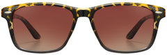 Faith Tortoise Sunglasses from ANRRI