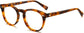 Kyree Round Tortoise Eyeglasses from ANRRI, angle view