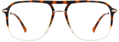 Langston Square Tortoise Eyeglasses from ANRRI, front view