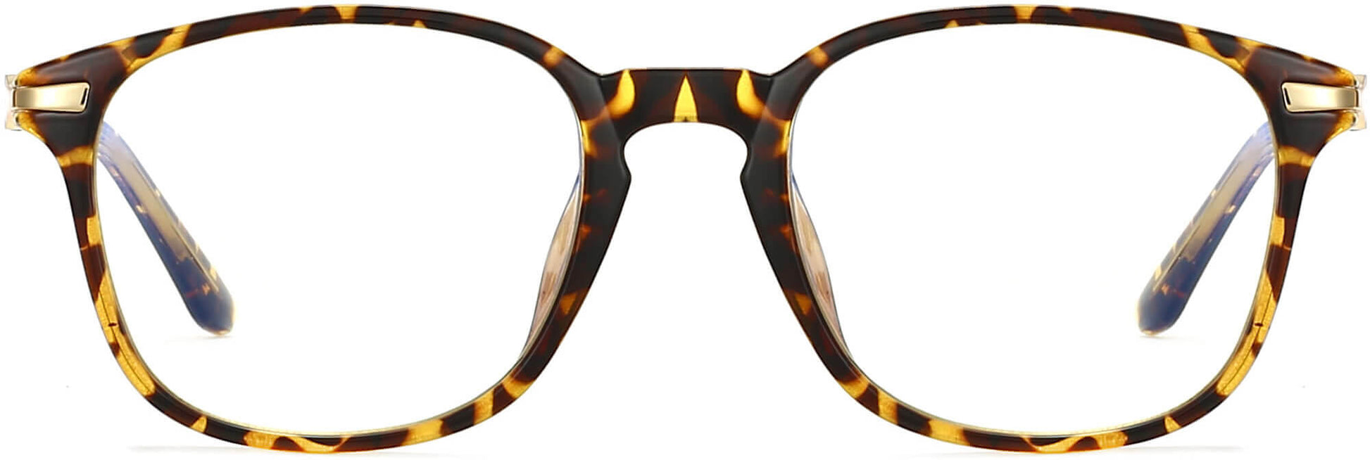Laura Round Tortoise Eyeglasses from ANRRI, front view