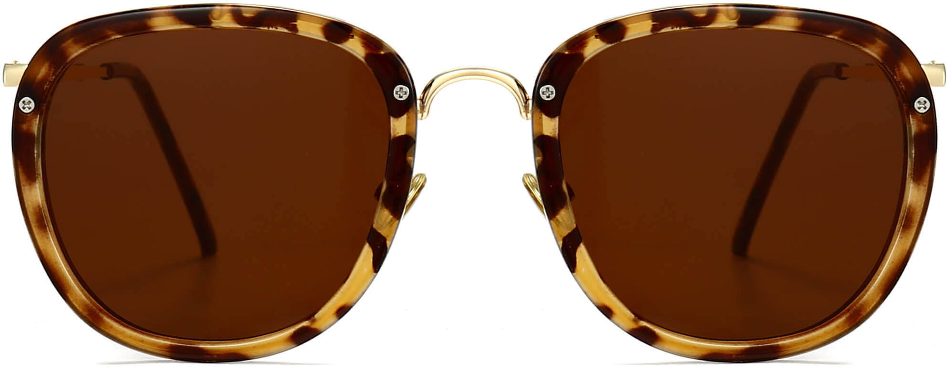 Legend Tortoise Plastic Sunglasses from ANRRI, front view