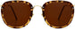 Legend Tortoise Plastic Sunglasses from ANRRI, front view