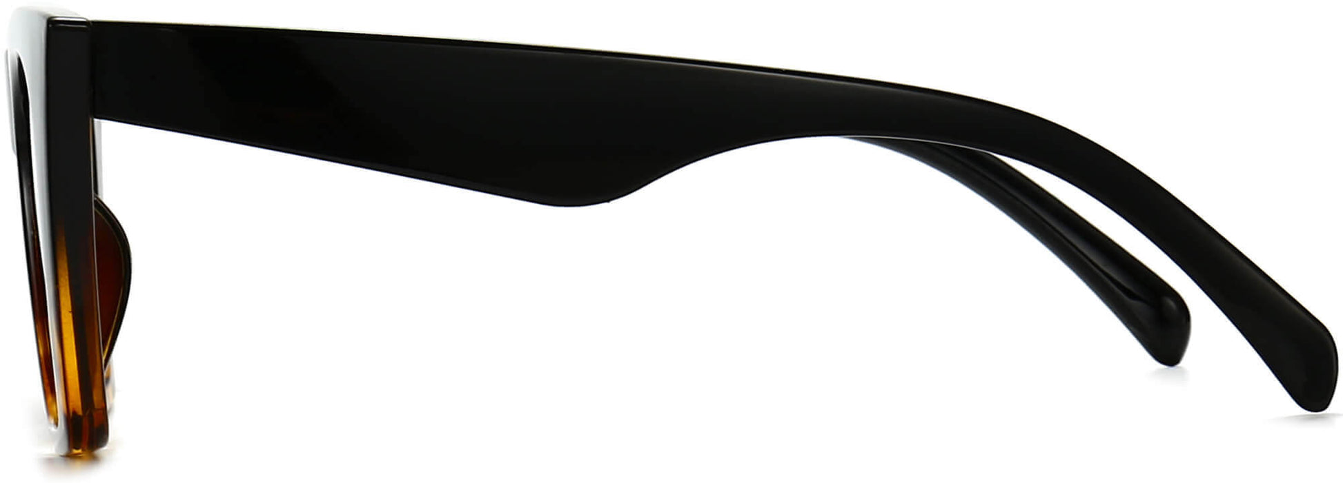 Leon Black Plastic Sunglasses from ANRRI, side view