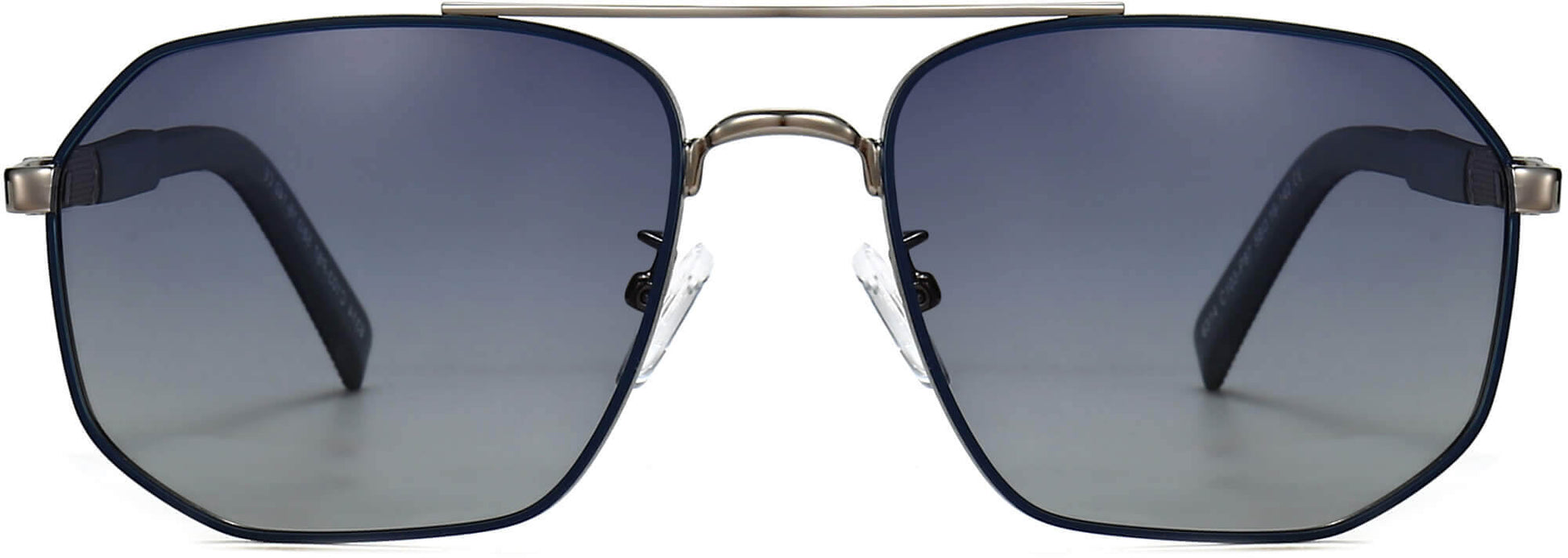 Luis Silver Stainless steel Sunglasses from ANRRI, front view