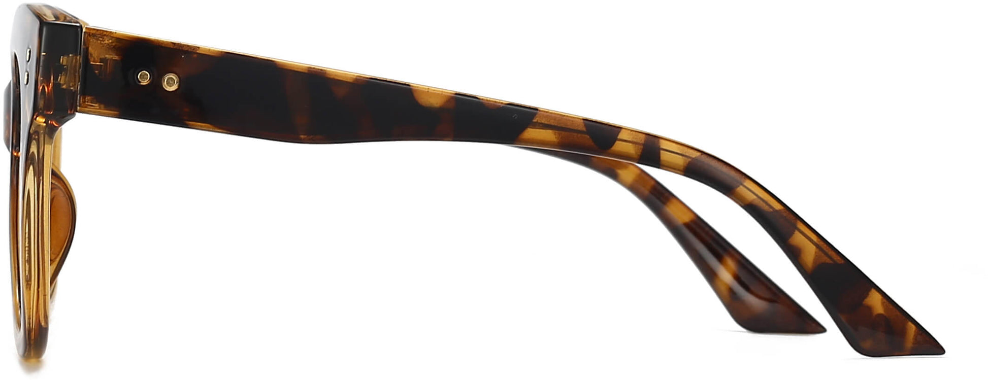Lyanna Cateye Tortoise Eyeglasses from ANRRI, side view
