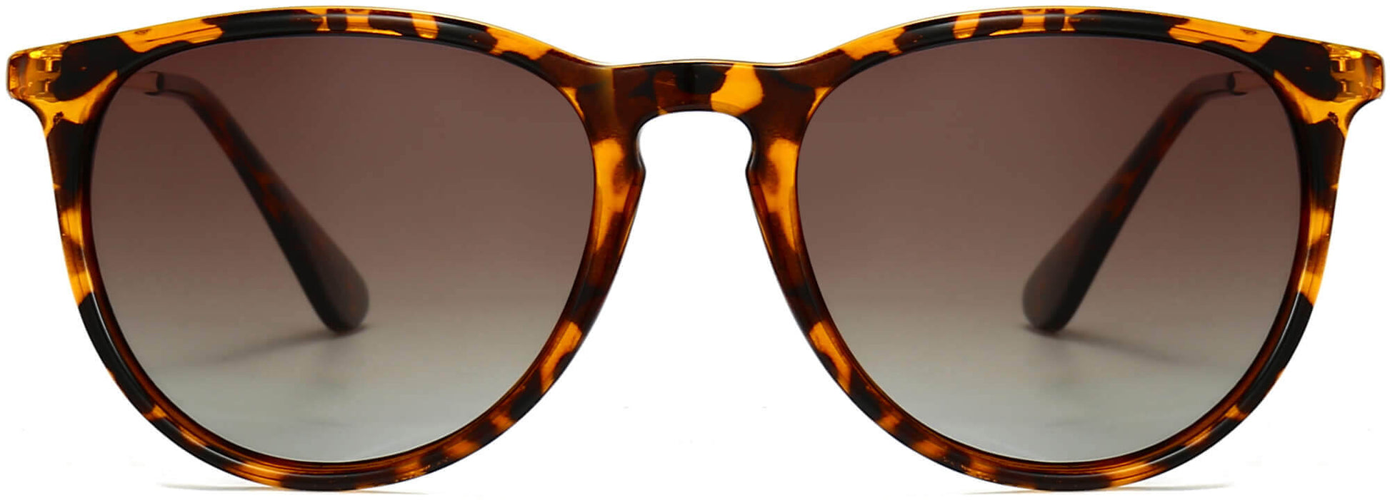 Maddox Tortoise Plastic Sunglasses from ANRRI, front view