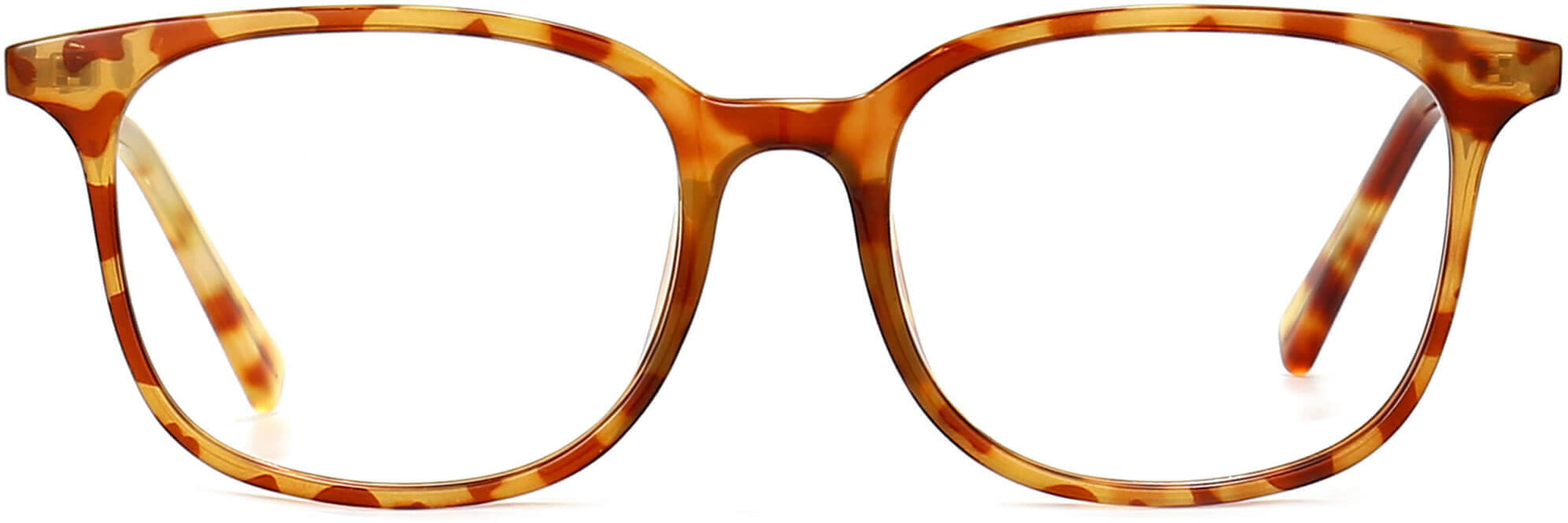 Madeline Square Tortoise Eyeglasses from ANRRI, front view