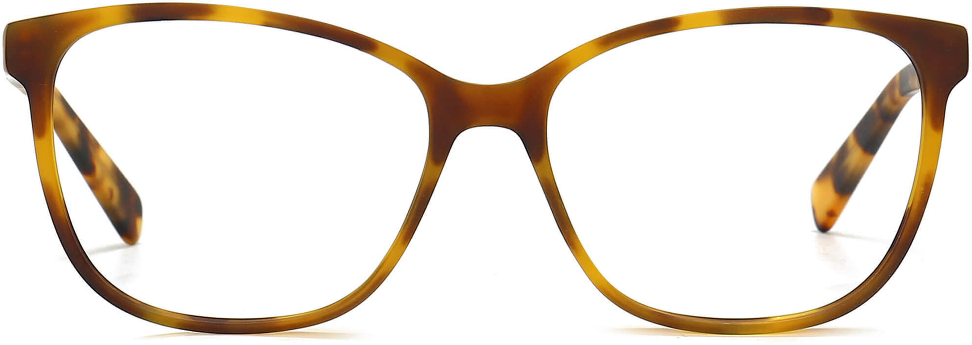 Madilynn Cateye Tortoise Eyeglasses from ANRRI, front view
