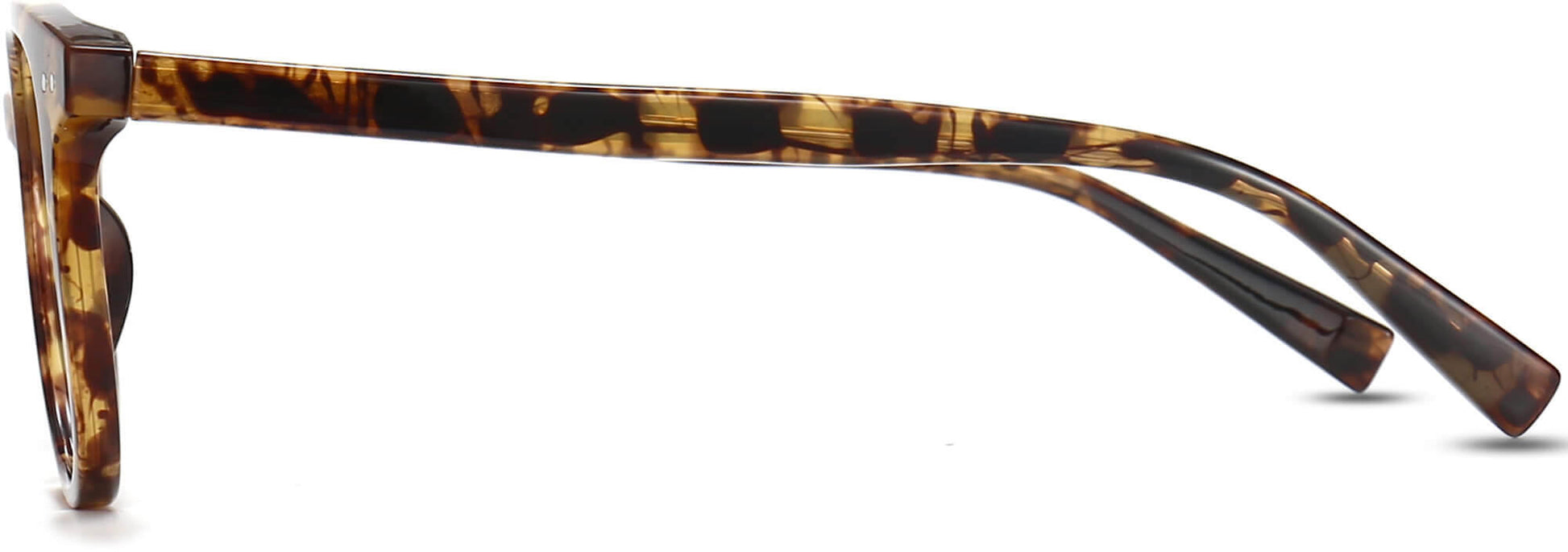 Malakai Round Tortoise Eyeglasses from ANRRI, side view