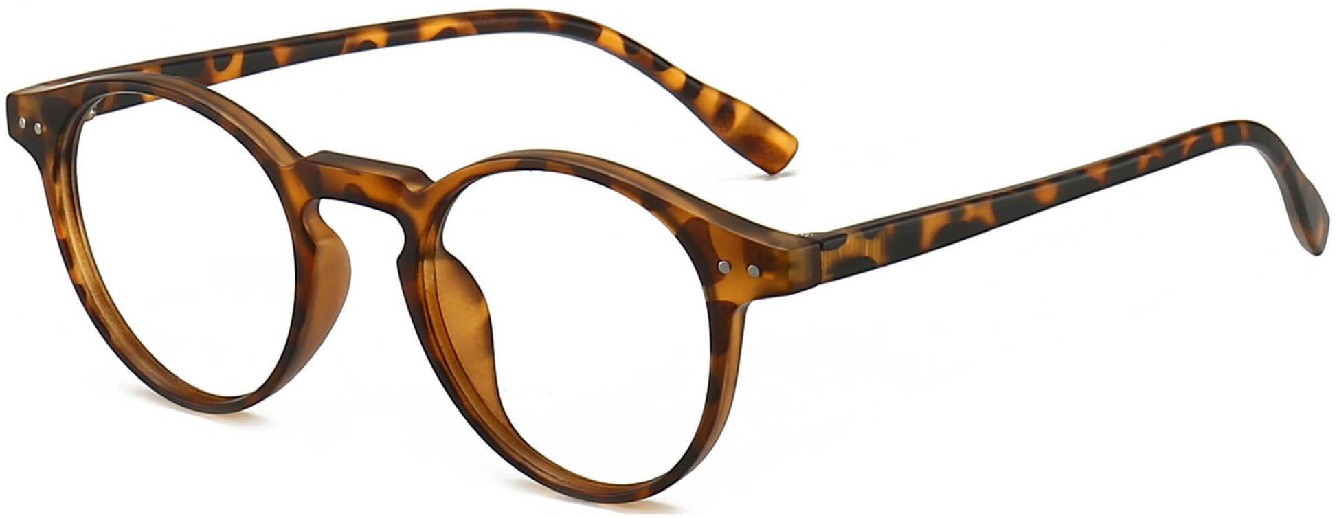 Marcelo Round Tortoise Eyeglasses from ANRRI, angle view