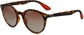 Melanie Tortoise Plastic Sunglasses from ANRRI, angle view