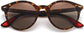 Melanie Tortoise Plastic Sunglasses from ANRRI, closed view