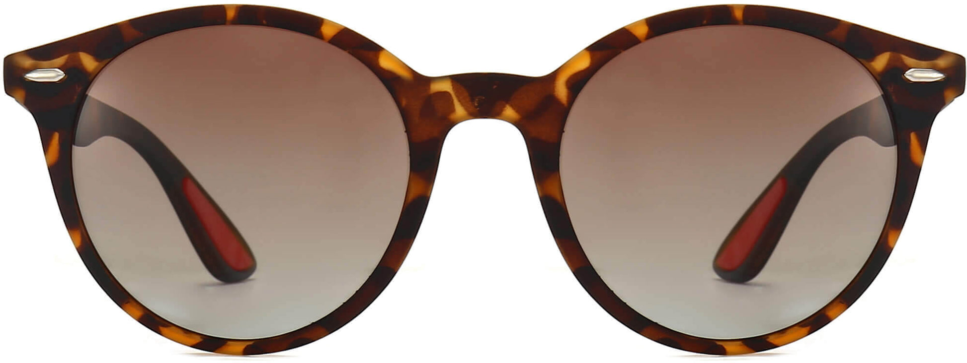 Melanie Tortoise Plastic Sunglasses from ANRRI, front view